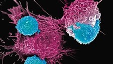 Células CAR T em destaque em conferência sobre imunoterapia