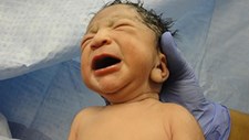 Dia Mundial da Saúde com foco na mortalidade materna e neonatal