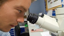 Portugal aderiu à Agência Internacional para a Investigação em Cancro
