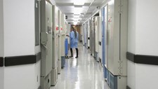 Nova Unidade de Investigação Clínica na ULS do Alentejo Central