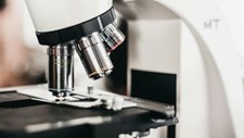 Premiada investigação sobre tecidos humanos vascularizados